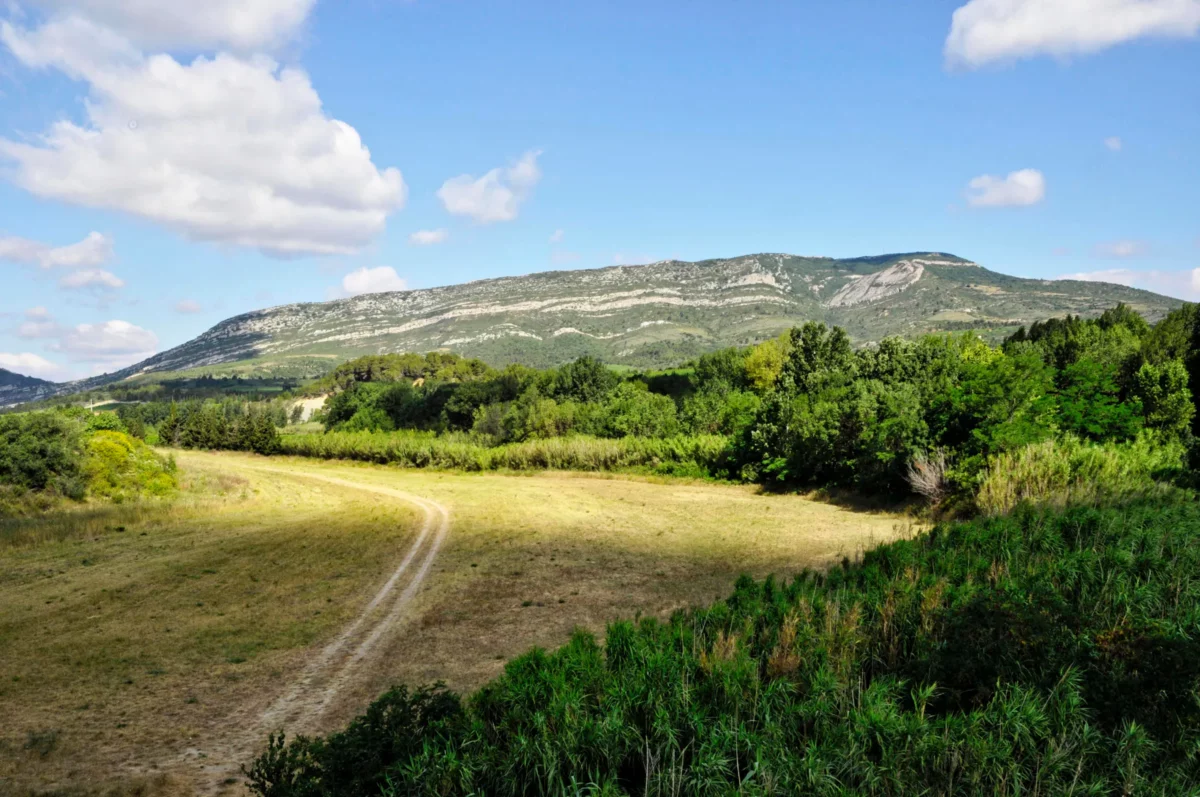 Alaric - massif septentrional des Corbières