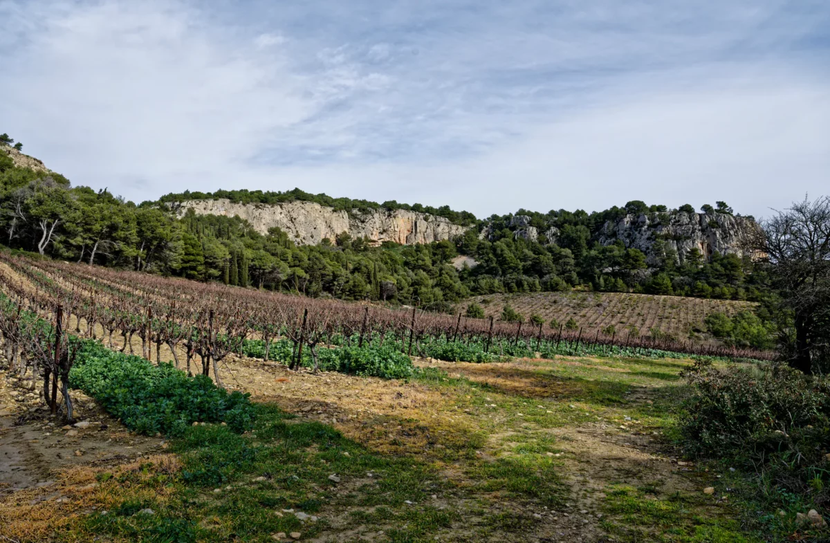 Photo de La Clape