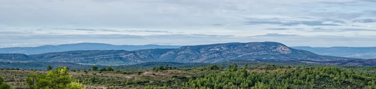 Alaric vue d'ensemble