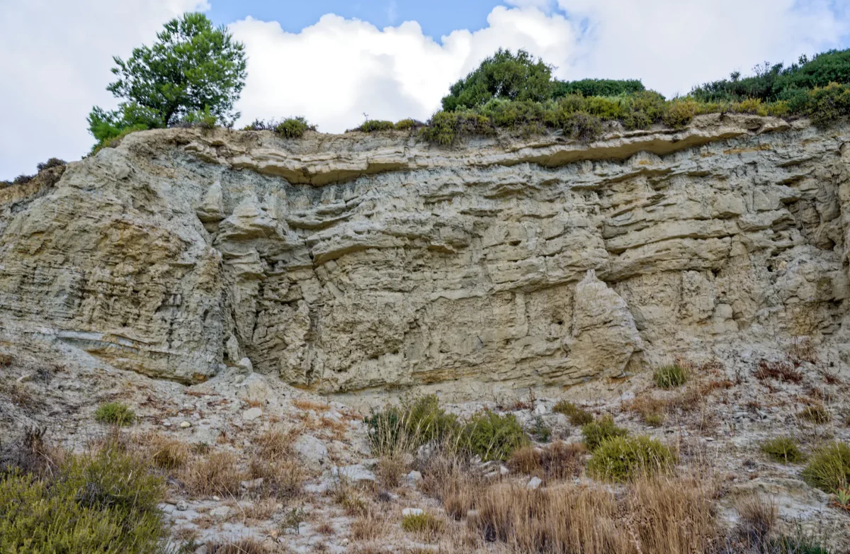La Nautique calcaires miocène