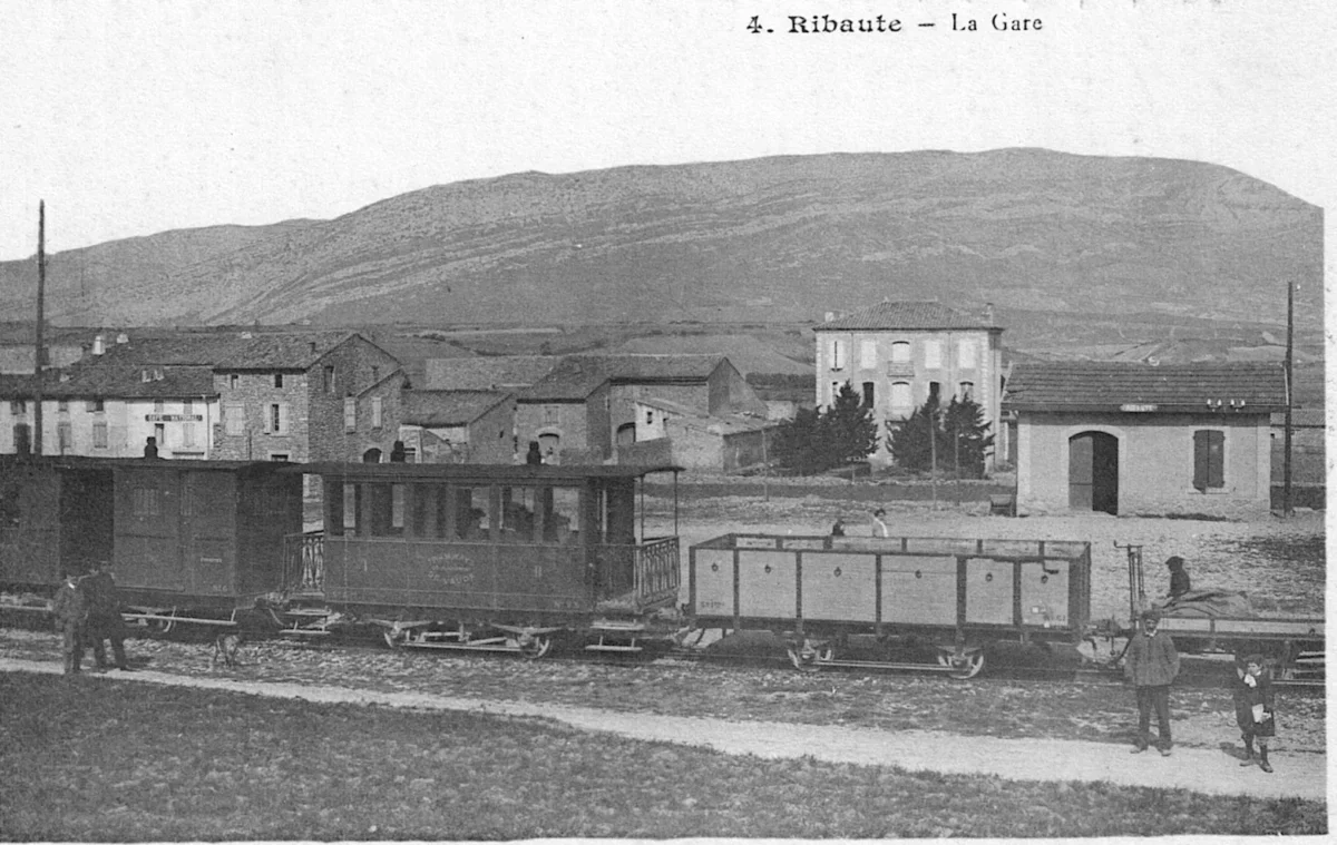 Ribaute