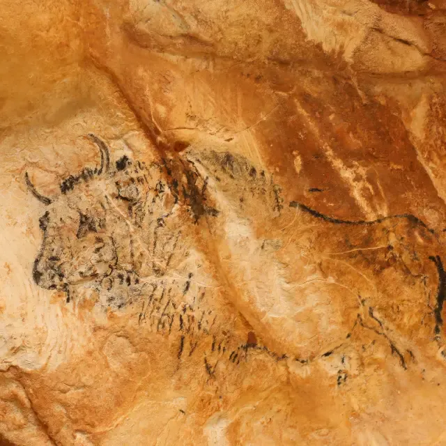 grotte cosquer