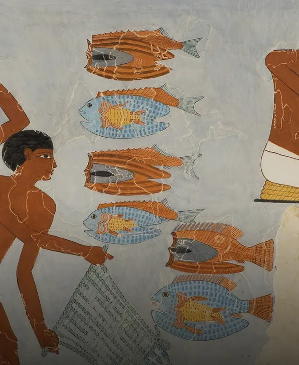 la poutargue il y a 5000 ans en Egypte