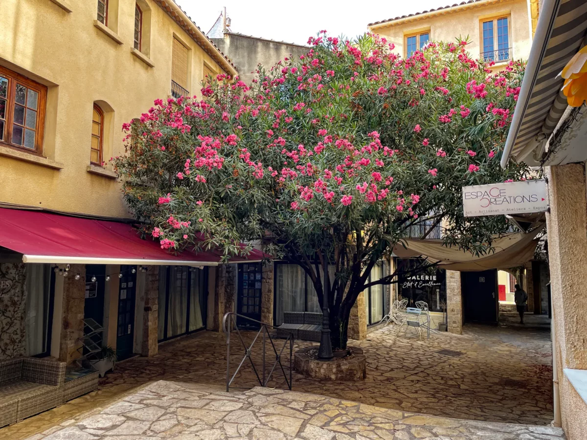Narbonne - passage de l'Ancien Courrier